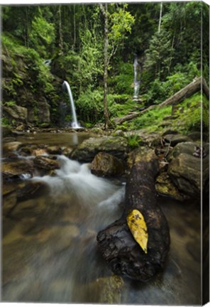 Framed ChiangMai 2 Print