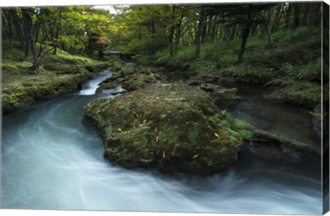 Framed Nikko 2 Print