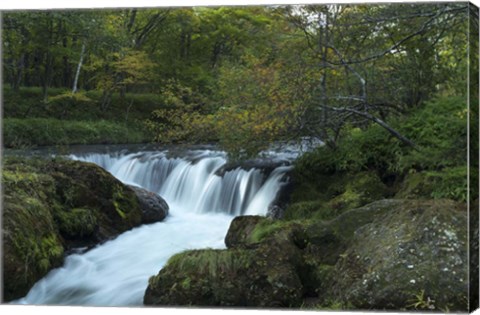 Framed Nikko 3 Print