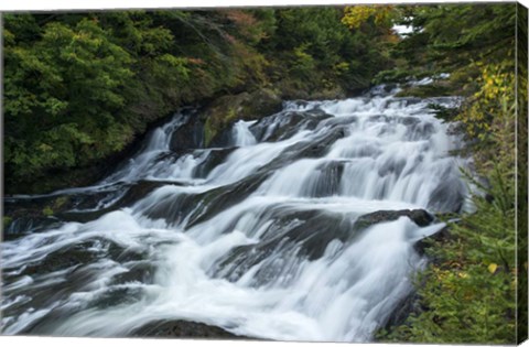Framed Nikko 4 Print