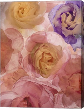 Framed Rosas Compo 2-2 Print