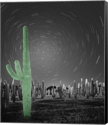 Framed Sonora - Pop Print