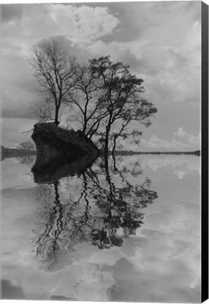 Framed Arboles en Agua 8 Print
