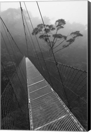 Framed Costa Rica 18 Print