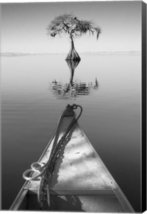 Framed Alone with my Tree II Print