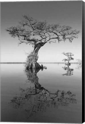 Framed Trees at Lake 2 Print