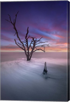 Framed Dead Tree 2 Print