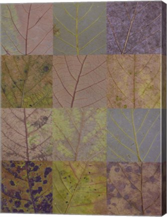 Framed Hojapedia 2 Print