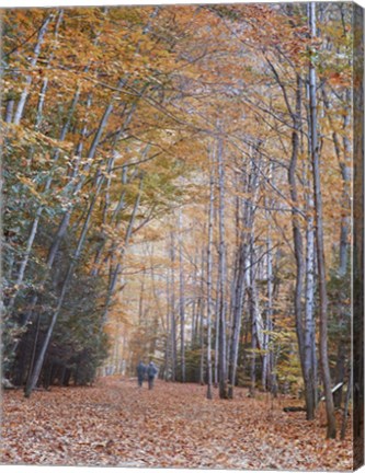 Framed Walking Print