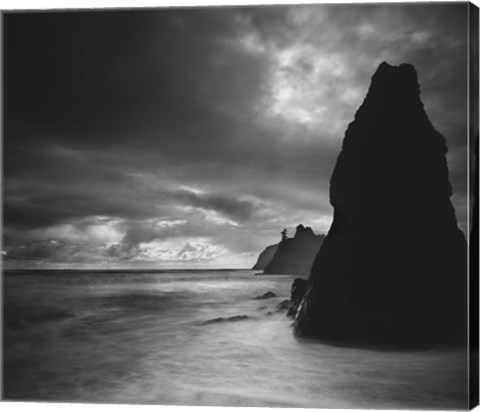 Framed Ruby Beach 2 Print