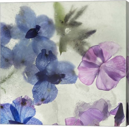 Framed Flores en Hielo I Print