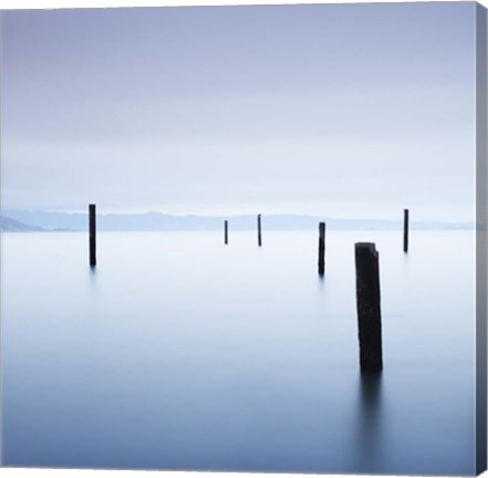 Framed 6 Postes en Sausalito Print