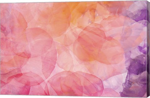 Framed Flores Compuestas 1 Print