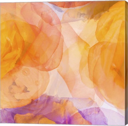 Framed Rosas Compo 5 Print