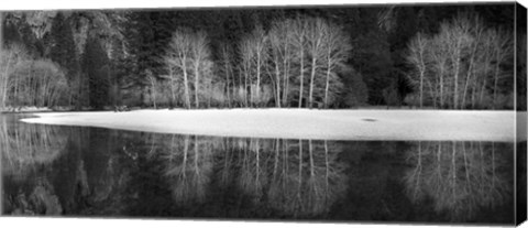 Framed Yosemite Reflection 1 Print