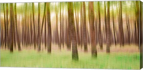 Framed Blurred Trees 5 - Verde Print