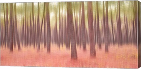 Framed Blurred Trees 5 Print