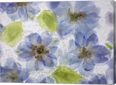 Framed Flores Congeladas 4 Print