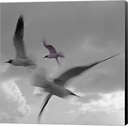 Framed Libertad - Pop Print