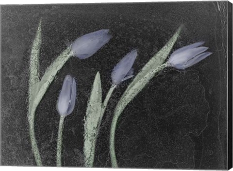 Framed Tulipanes Azules Print