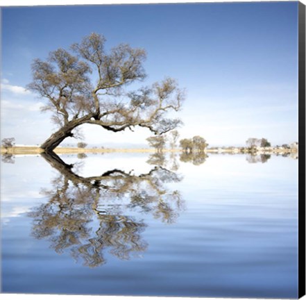 Framed Arbol en Agua 2 Color Print