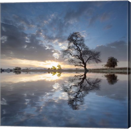Framed Arbol en Agua 5 color Print
