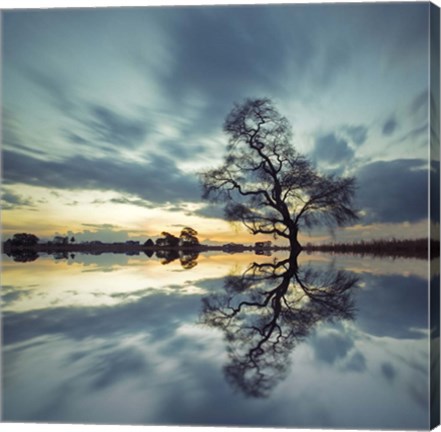 Framed Arbol Solitario en Temoaya Color Reflect Print