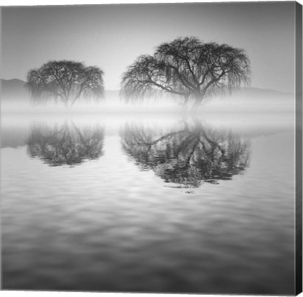 Framed Sauces Vertical en Agua BN Print