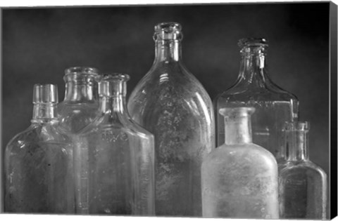 Framed 7 Bottles Print