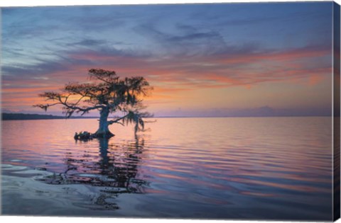 Framed Alone at Sunrise Print