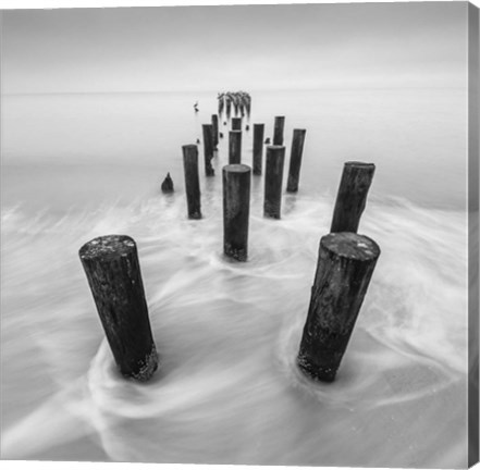 Framed Movement Print