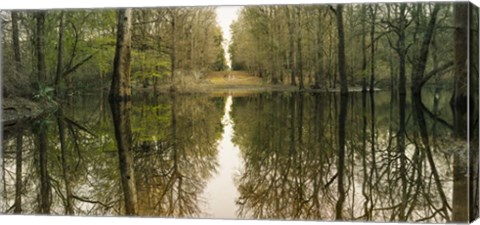 Framed Suwanne Reflection Panoramic Print