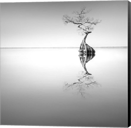 Framed Zen Tree Print