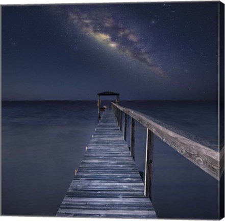 Framed Milky Way in Florida Print