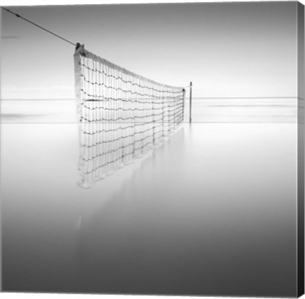 Framed Net at Pool BW Print