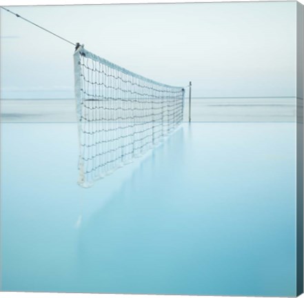 Framed Net at Pool Color Print