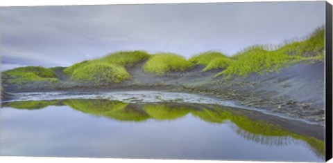 Framed Prados Verdes Print