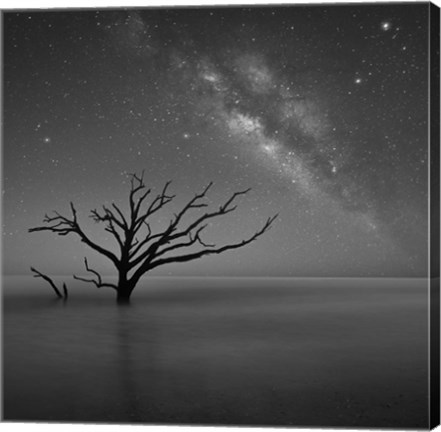 Framed Milky Way In Botany Bay 2 Print