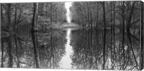 Framed Suwanne Reflection Pano BW Print