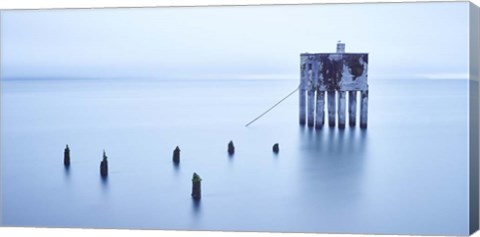 Framed My Pet Panoramic Print