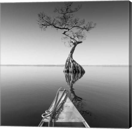 Framed Alone With My Tree Print