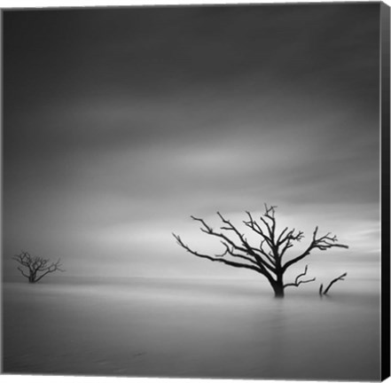 Framed Alone Print