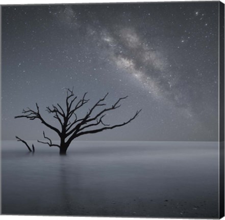 Framed Milky Way In Botany Bay 1 Print