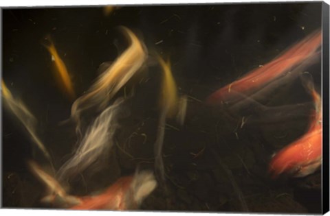 Framed Movement 3 Print