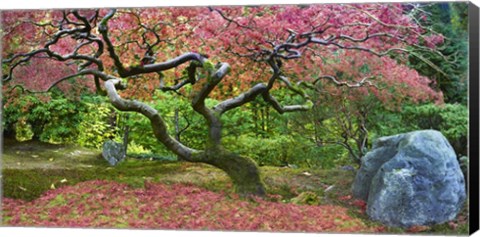 Framed Pink Tree Print