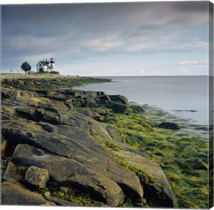 Framed Prospect Light 1 Print