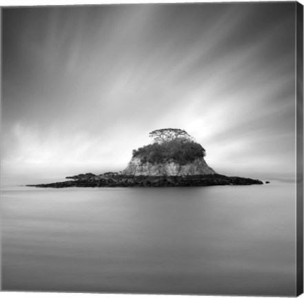 Framed Rat Island 2 Print