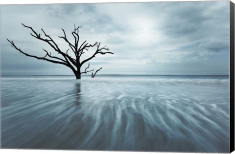 Framed Searching For Life Color Edit Print