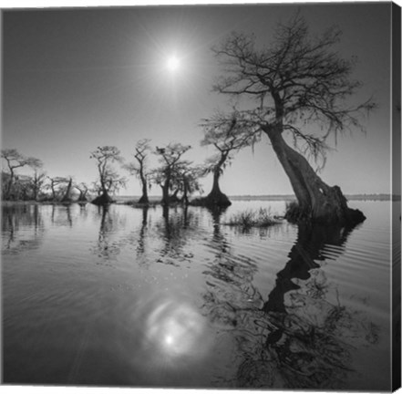 Framed Sunrise 2 Print