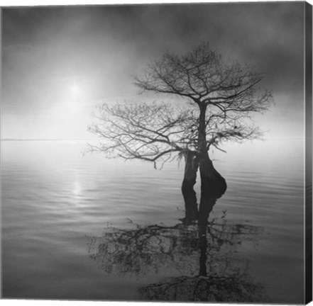 Framed Sunrise Fog Print